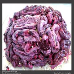 images/alumni/19Brain 1.jpg